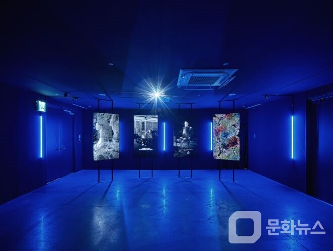 국립현대미술관, '프로젝트 해시태그 5주년 : 경계 너머 마주한 것들' 개최/사진제공=국립현대미술관