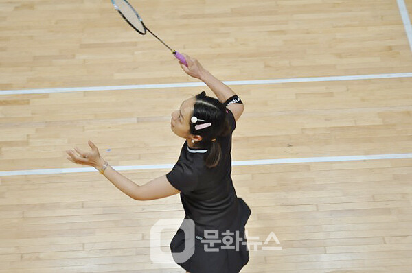 사진 제24회 달성군수기 생활체육 배드민턴대회