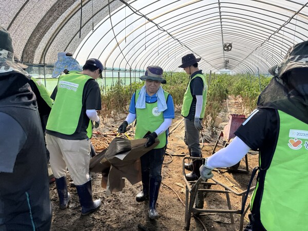 NH농협은행 IT부문이 25일 집중호우로 피해를 입은 충남 아산시의 농가를 찾아 수해복구 작업을 진행했다. / 사진=NH농협은행