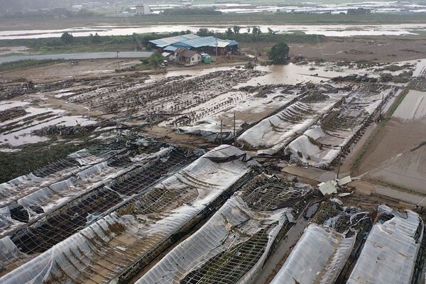 행안부, 집중호우 피해지에 긴급 재난대책비 246억원 지원 /사진=연합뉴스