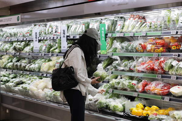 [박근종 칼럼] 폭우에 젖고 폭염에 데인 ‘기후플레이션’ 심화, ‘먹거리 물가’ 비상/사진=연합뉴스