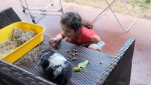 ‘프랑스 햇살 소녀의 특별한 하루’…EBS 왔다! 내 손주, 남프랑스에서 펼쳐지는 로맨틱 가족 이야기 / 사진=EBS