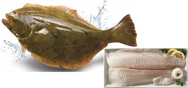 ‘광복절 연휴 맞이 반값 광어회’…이마트, 50톤 물량 대방출 / 사진=이마트