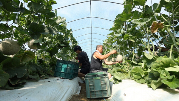 ‘공주 골목에 숨은 삶의 이야기’…동네 한 바퀴, 노부부의 육회비빔밥부터 나태주 시인까지 / 사진=KBS
