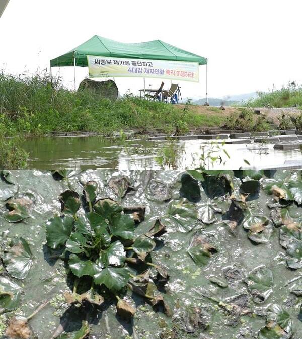 수돗물·농작물까지 침투한 독성… 낙동강 재앙 추적 (PD수첩) / 사진=MBC