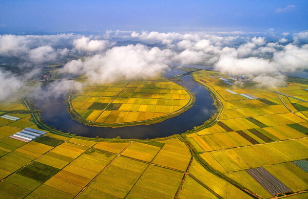 ‘남도의 젖줄’ 영산강 유역에 드넓게 펼쳐진 나주평야. 나주가 ‘농도 전남’의 대표 지역임을 보여준다. 사진제공=나주시