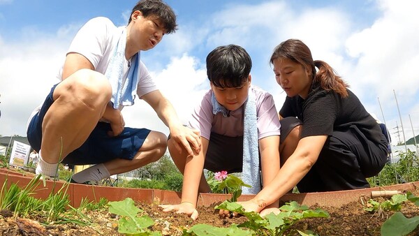 ‘정원의 깊은 철학’…EBS, 특집 다큐에서 울타리 넘어선 정원 이야기 공개 / 사진=EBS