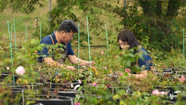 ‘정원의 깊은 철학’…EBS, 특집 다큐에서 울타리 넘어선 정원 이야기 공개 / 사진=EBS
