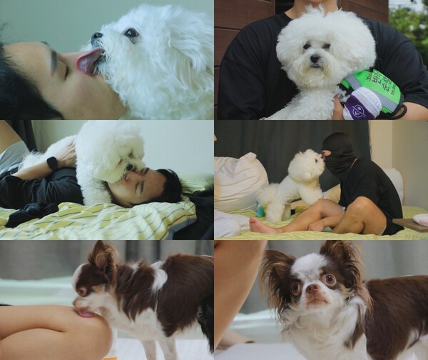 ‘콧구멍까지 핥기 중독?’…‘세나개’, 경찰견 우디·치와와 율무의 19금 집착 / 사진=EBS