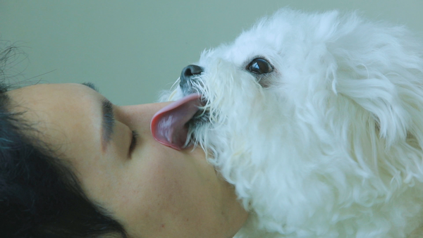 ‘콧구멍까지 핥기 중독?’…‘세나개’, 경찰견 우디·치와와 율무의 19금 집착 / 사진=EBS