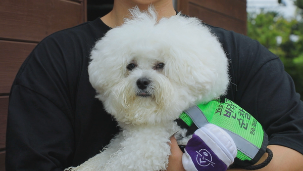 ‘콧구멍까지 핥기 중독?’…‘세나개’, 경찰견 우디·치와와 율무의 19금 집착 / 사진=EBS