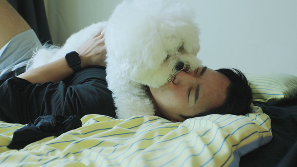 ‘콧구멍까지 핥기 중독?’…‘세나개’, 경찰견 우디·치와와 율무의 19금 집착 / 사진=EBS