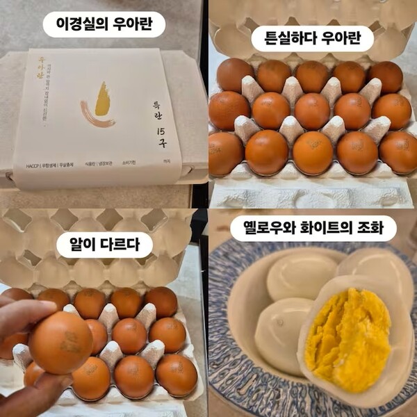 이경실 우아란 달걀 논란 확산… A4 공간 사육 닭인데 가격은 프리미엄? / 사진=조혜련인스타그램