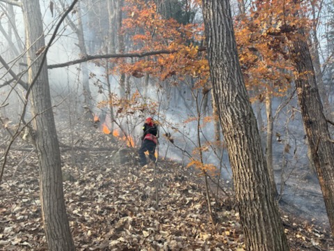 [쿤화일보] 충북 단양군 간양읍 고수리 인근 산 산불 진화 현장 (사진= 산림청 제공)